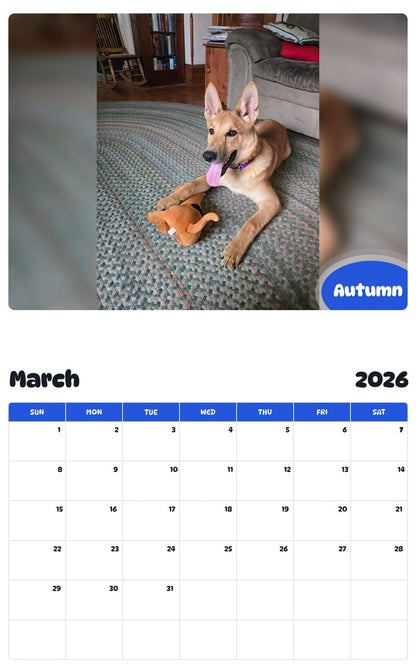 November 2025 - October 2026 Autumn - Pawidols Pet Calendar