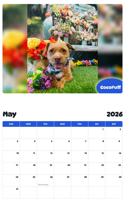 2026 - 2027 CocoPuff - Pawidols Pet Calendar