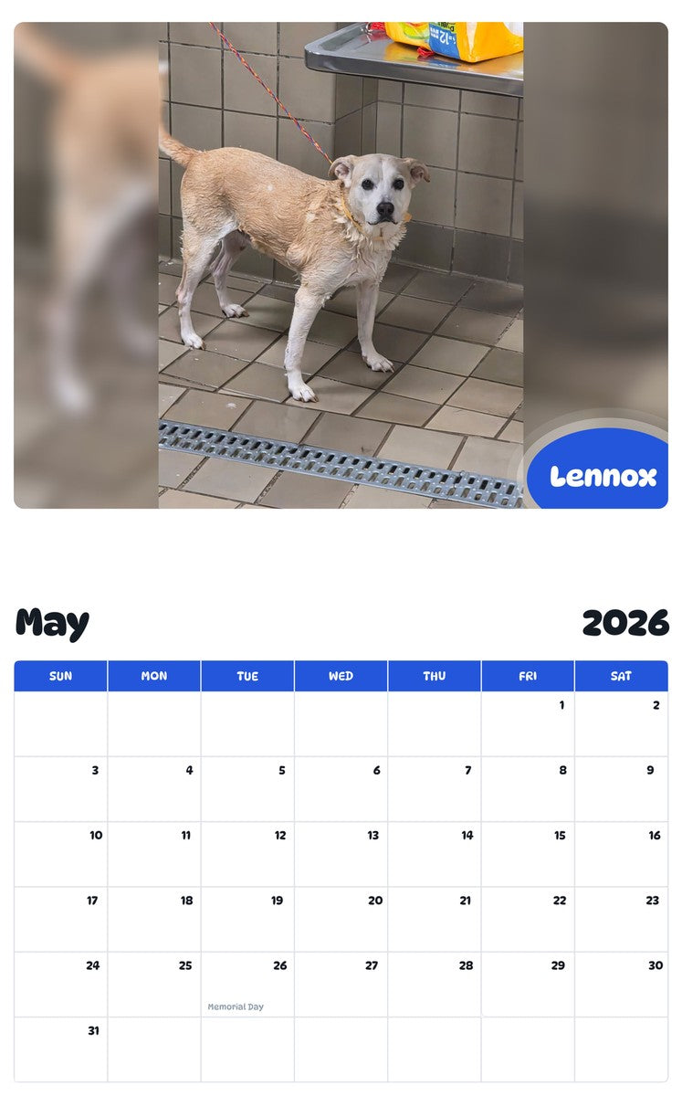 2026 - 2027 Lennox - Pawidols Pet Calendar