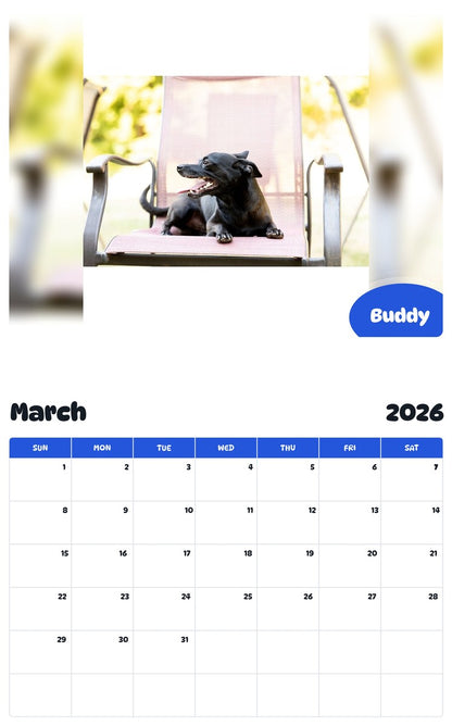 November 2025 - October 2026 Buddy - Pawidols Pet Calendar