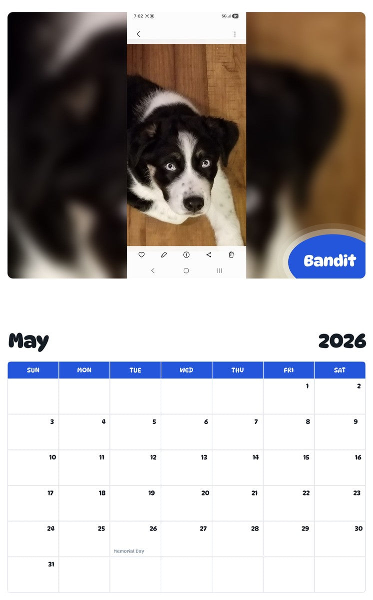2026 - 2027 Bandit - Pawidols Pet Calendar