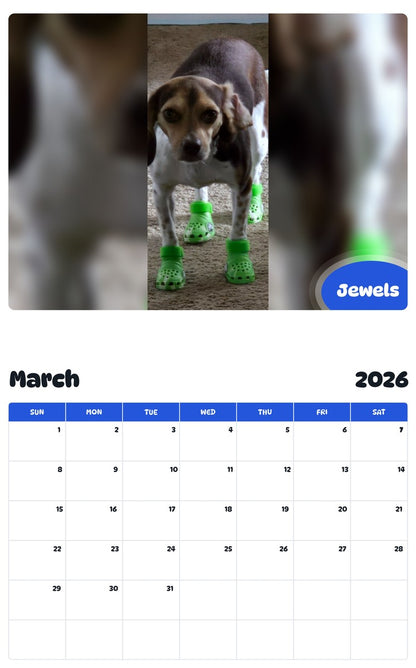 November 2025 - October 2026 Jewels - Pawidols Pet Calendar