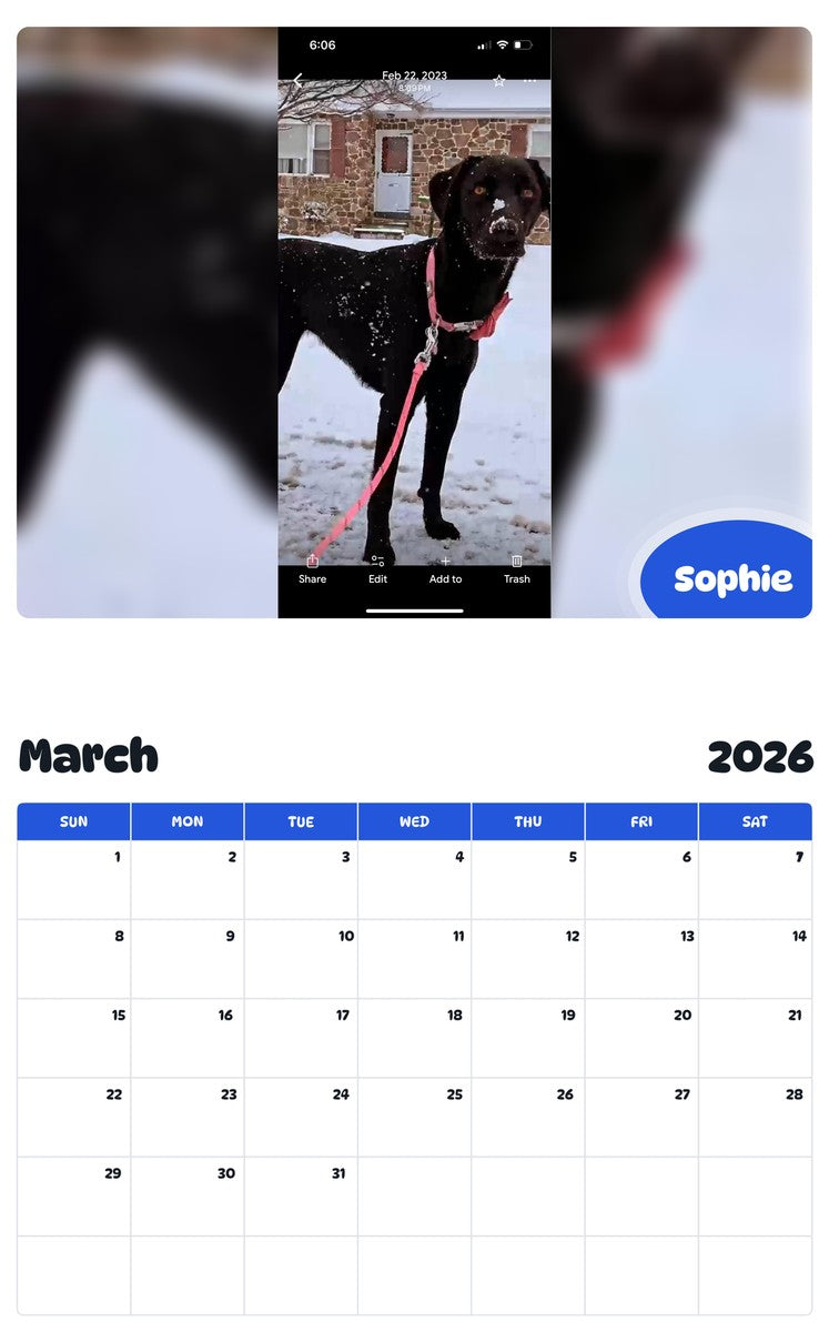 November 2025 - October 2026 Sophie - Pawidols Pet Calendar