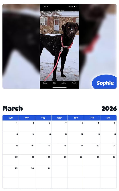 November 2025 - October 2026 Sophie - Pawidols Pet Calendar