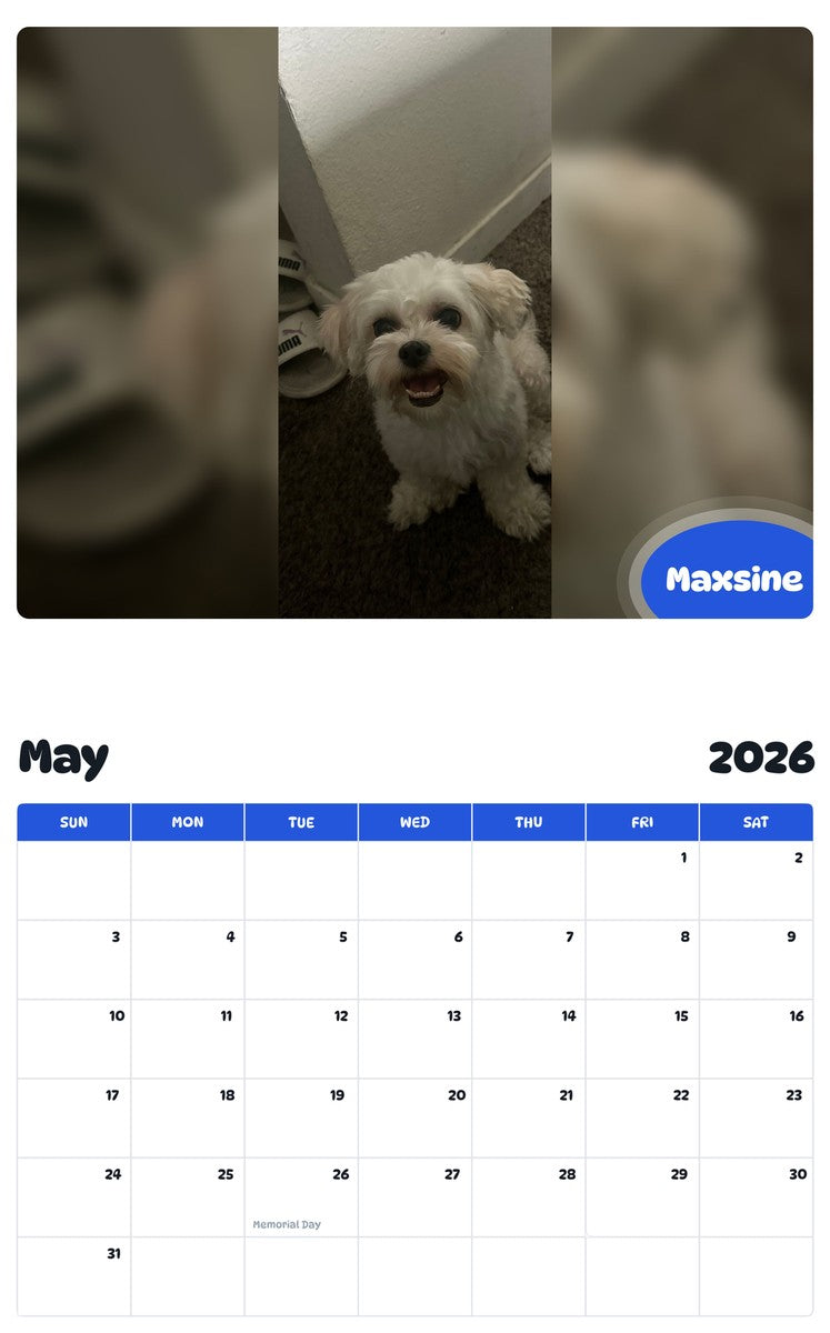 2026 - 2027 Maxsine - Pawidols Pet Calendar