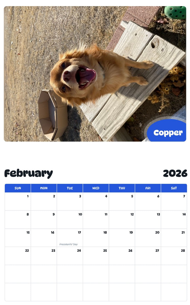 October 2025 - September 2026 Copper - Pawidols Pet Calendar