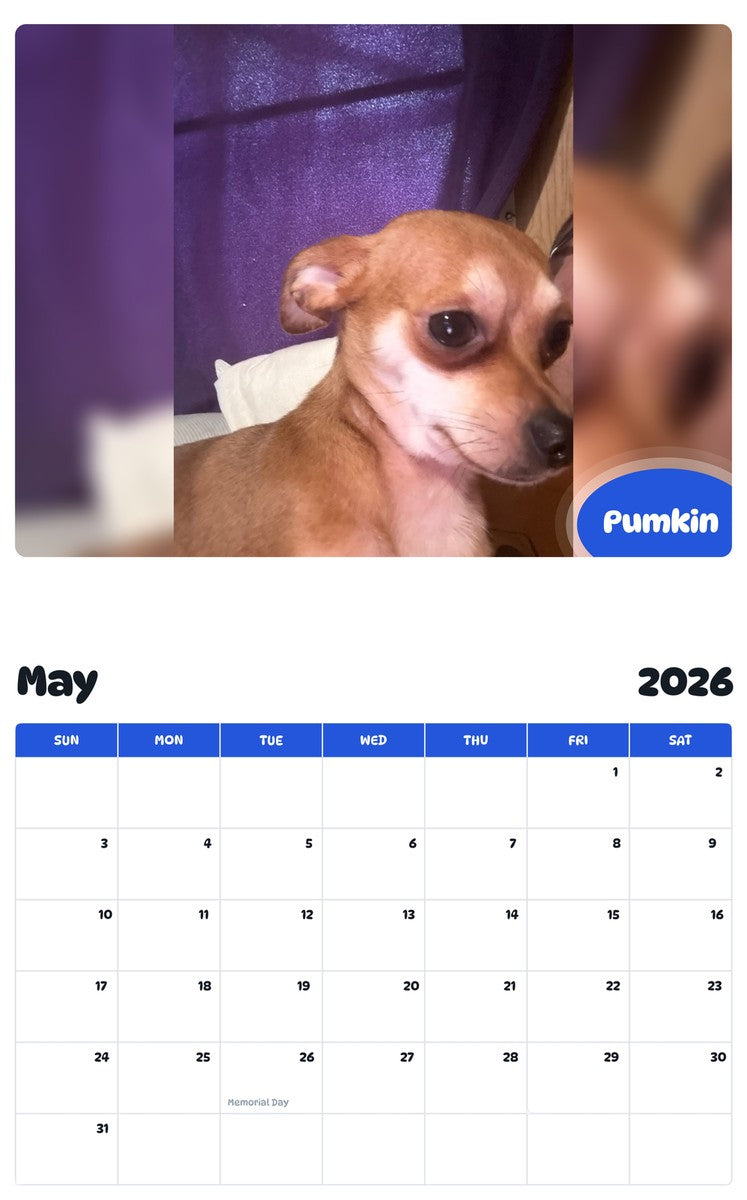 2026 - 2027 Pumkin - Pawidols Pet Calendar