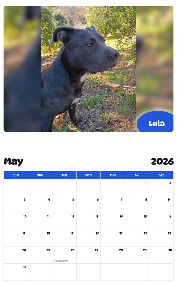 2026 - 2027 Lula - Pawidols Pet Calendar