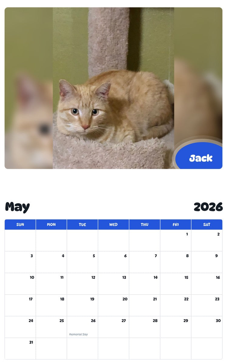 2026 - 2027 Jack - Pawidols Pet Calendar