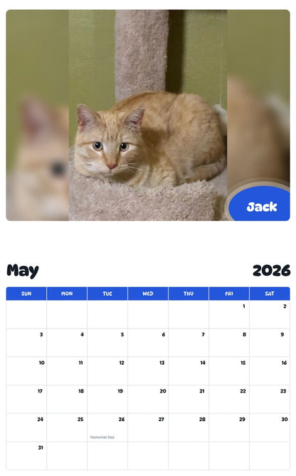 2026 - 2027 Jack - Pawidols Pet Calendar
