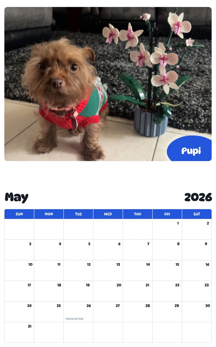 2026 - 2027 Pupi - Pawidols Pet Calendar