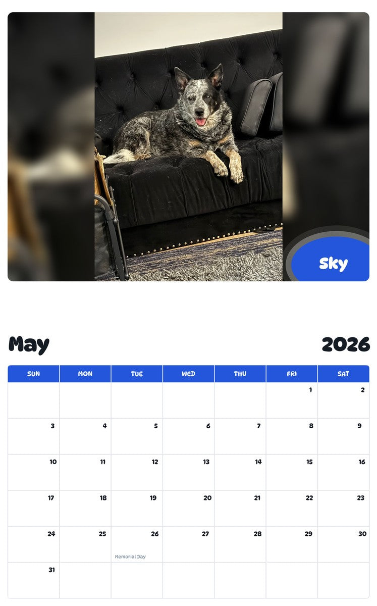 2026 - 2027 Sky - Pawidols Pet Calendar
