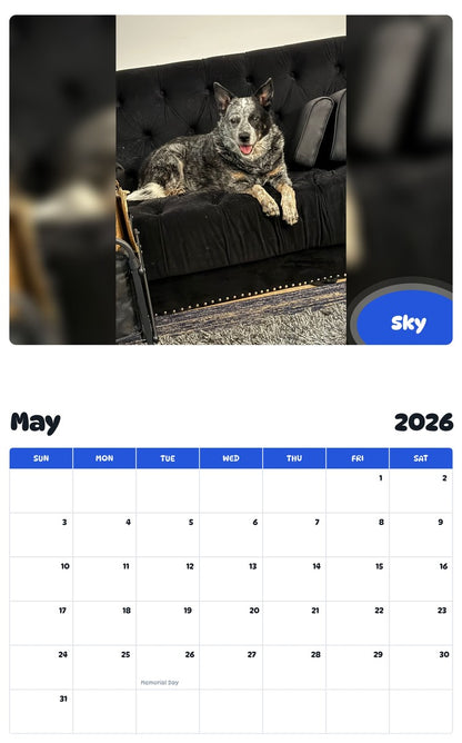 2026 - 2027 Sky - Pawidols Pet Calendar