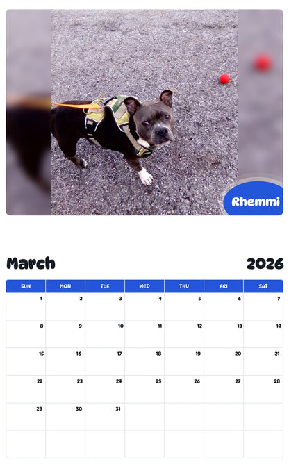 November 2025 - October 2026 Rhemmi - Pawidols Pet Calendar