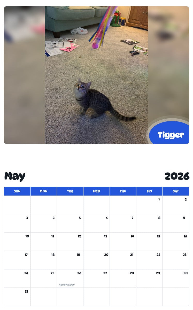 2026 - 2027 Tigger - Pawidols Pet Calendar