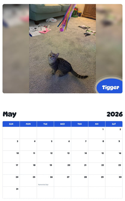 2026 - 2027 Tigger - Pawidols Pet Calendar