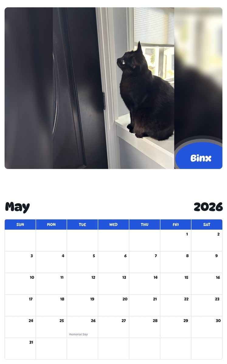 2026 - 2027 Binx - Pawidols Pet Calendar