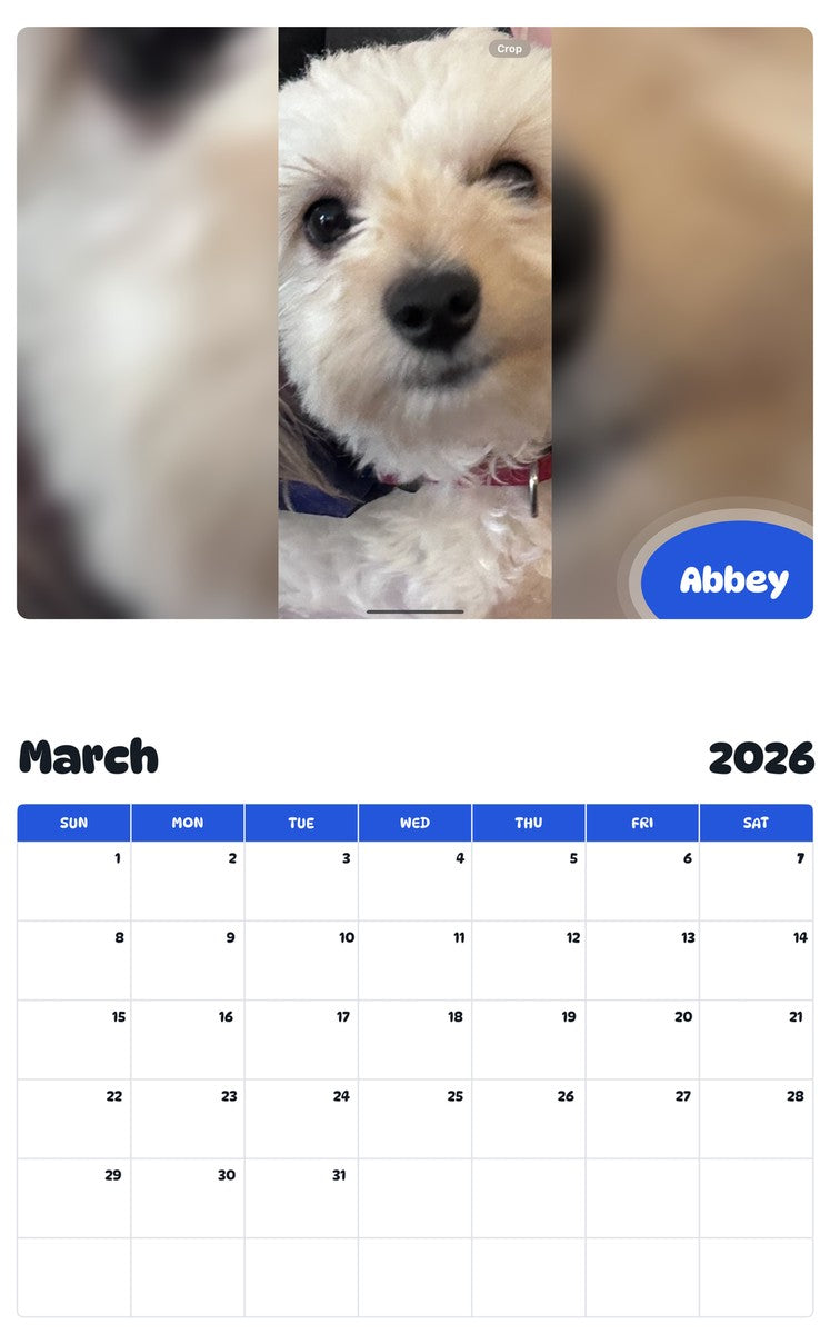 November 2025 - October 2026 Abbey - Pawidols Pet Calendar