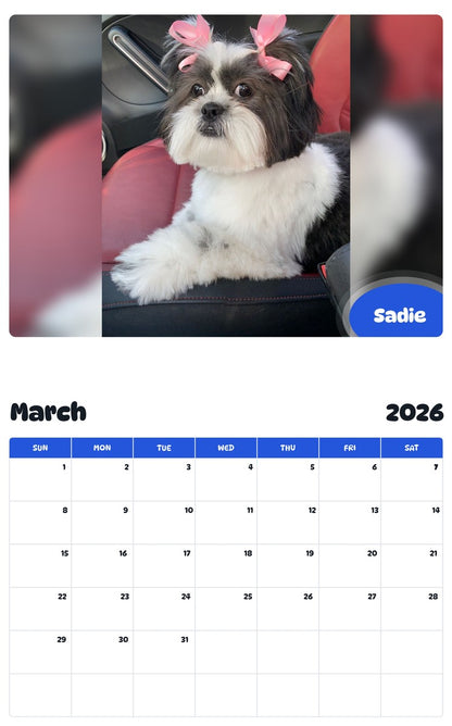 November 2025 - October 2026 Sadie - Pawidols Pet Calendar