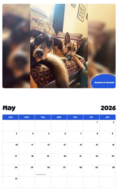 2026 - 2027 Elecktra & Phoenix - Pawidols Pet Calendar