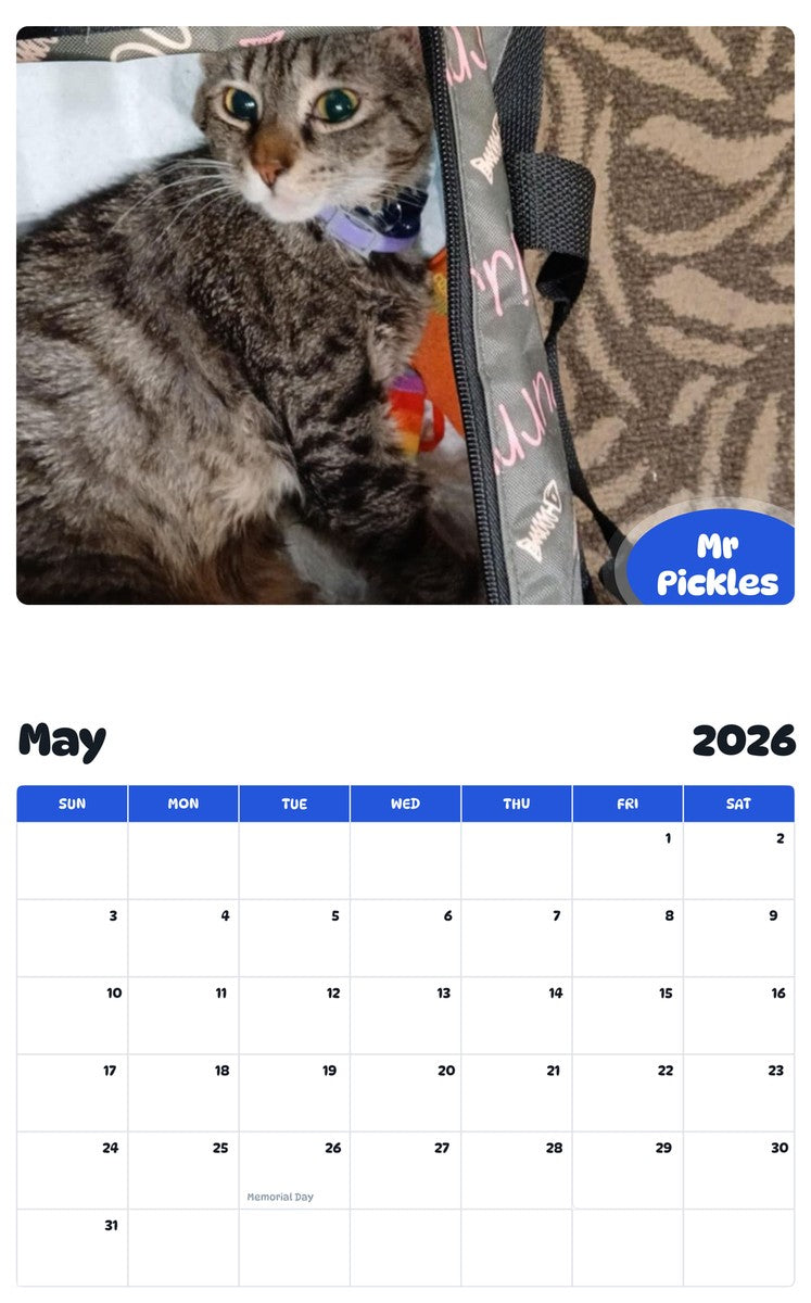2026 - 2027 Mr Pickles - Pawidols Pet Calendar