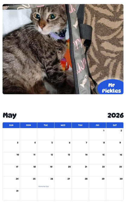 2026 - 2027 Mr Pickles - Pawidols Pet Calendar