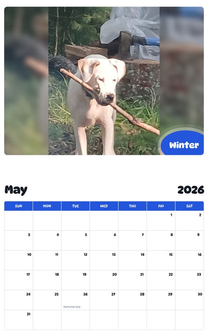 2026 - 2027 Winter - Pawidols Pet Calendar