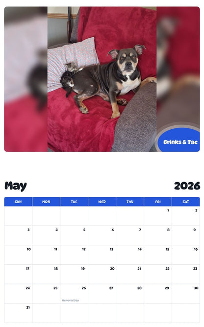 2026 - 2027 Brinks & Tac - Pawidols Pet Calendar