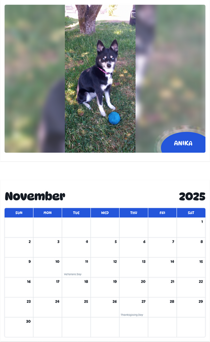 July 2025 - June 2026 Anika - Pawidols Pet Calendar