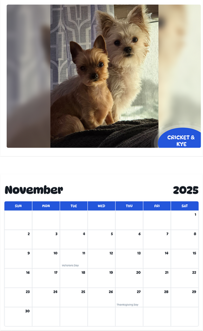 July 2025 - June 2026 Cricket & Kye - Pawidols Pet Calendar
