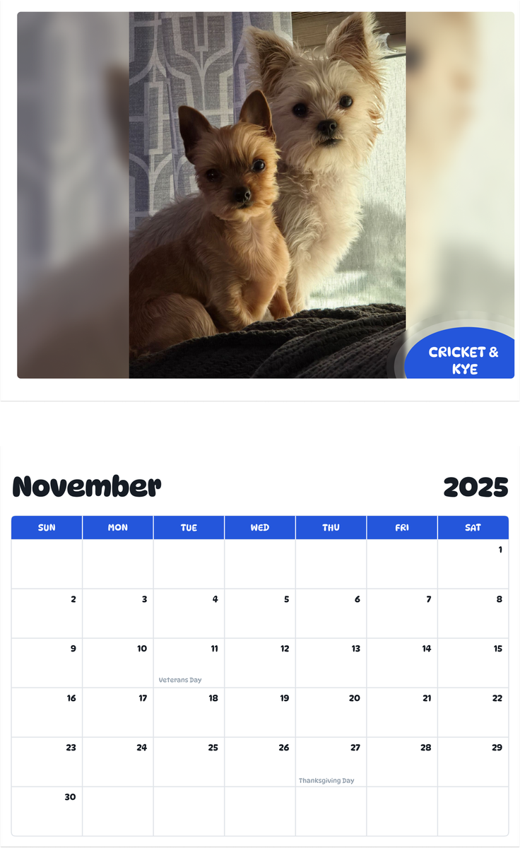 July 2025 - June 2026 Cricket & Kye - Pawidols Pet Calendar