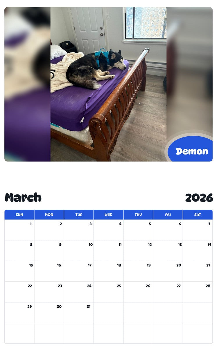 November 2025 - October 2026 Demon - Pawidols Pet Calendar
