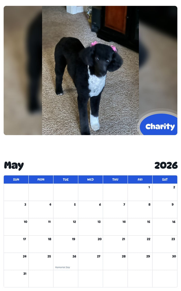 2026 - 2027 Charity - Pawidols Pet Calendar
