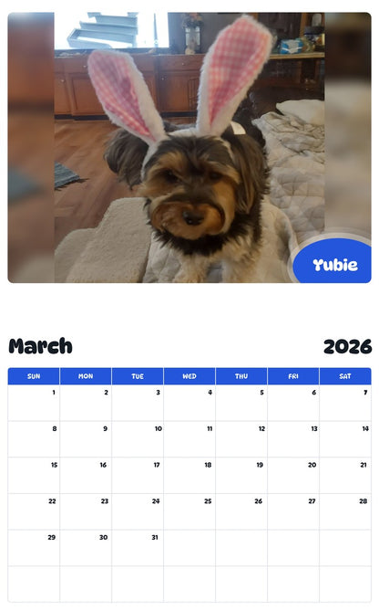 November 2025 - October 2026 Yubie - Pawidols Pet Calendar