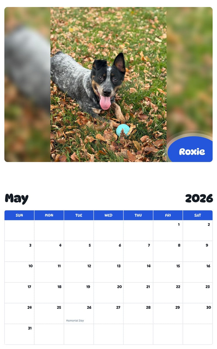 2026 - 2027 Roxie - Pawidols Pet Calendar