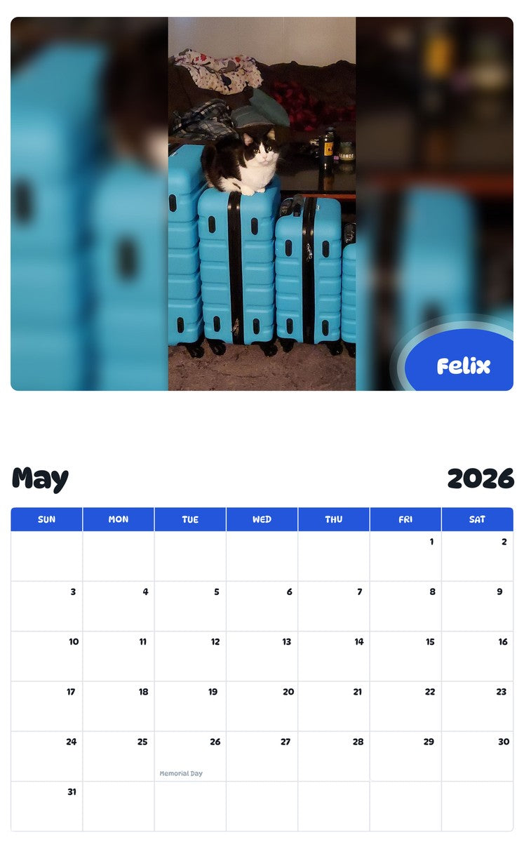 2026 - 2027 Felix - Pawidols Pet Calendar