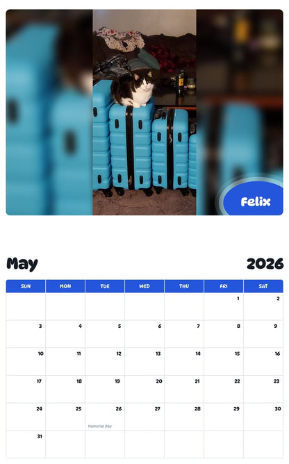 2026 - 2027 Felix - Pawidols Pet Calendar