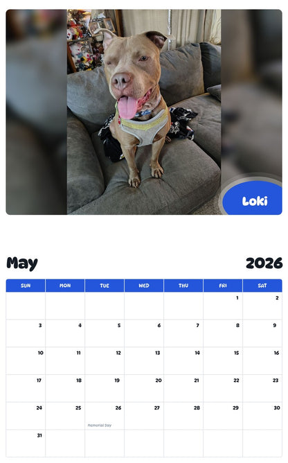 2026 - 2027 Loki - Pawidols Pet Calendar