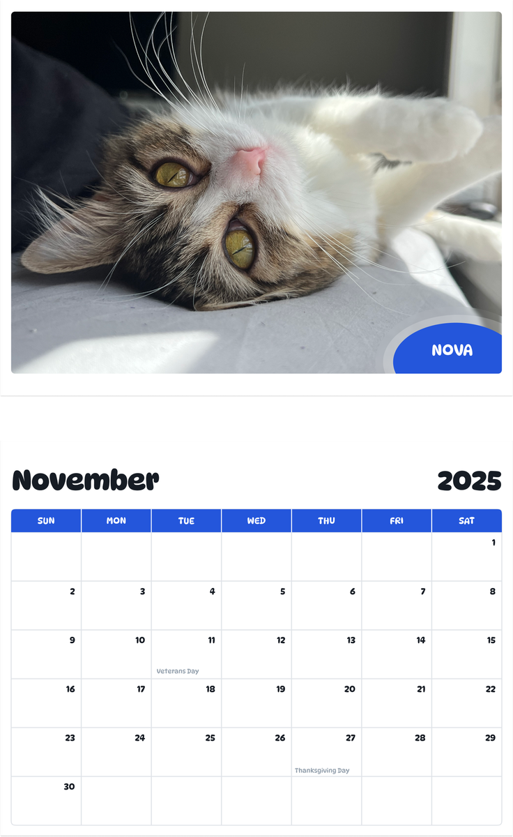 July 2025 - June 2026 Nova - Pawidols Pet Calendar