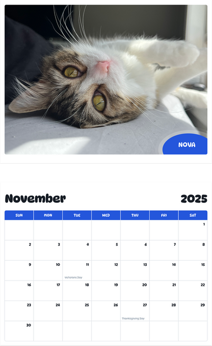 July 2025 - June 2026 Nova - Pawidols Pet Calendar