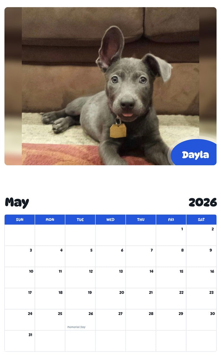 2026 - 2027 Dayla - Pawidols Pet Calendar