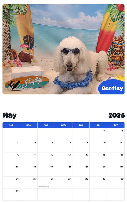 2026 - 2027 Bentley - Pawidols Pet Calendar