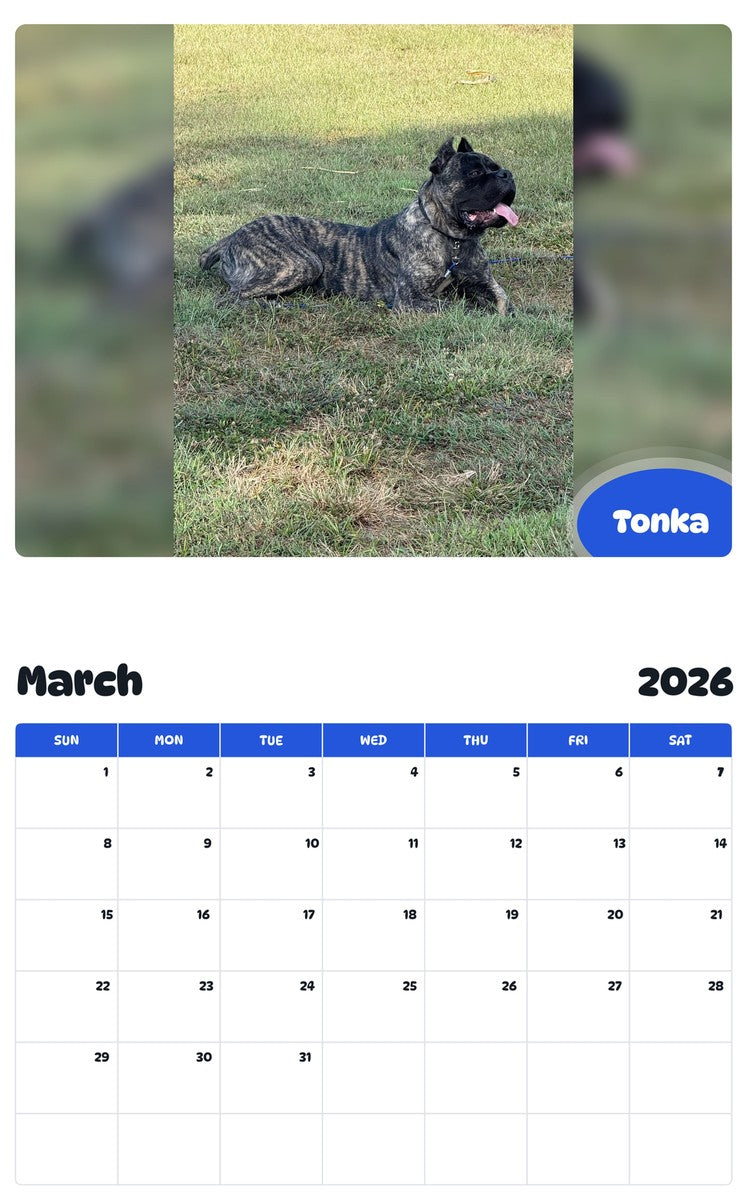 November 2025 - October 2026 Tonka - Pawidols Pet Calendar