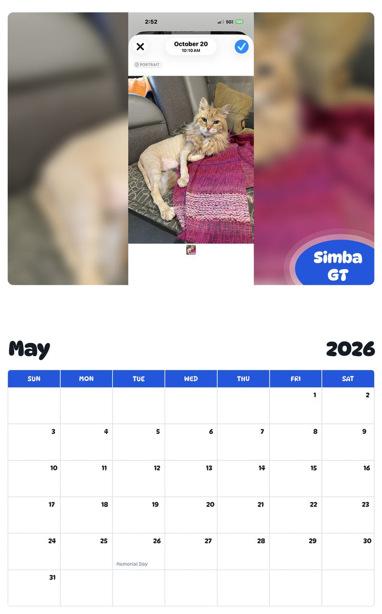 2026 - 2027 Simba GT - Pawidols Pet Calendar
