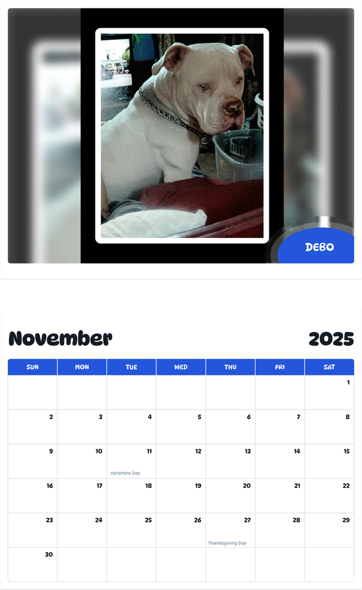 July 2025 - June 2026 Debo - Pawidols Pet Calendar