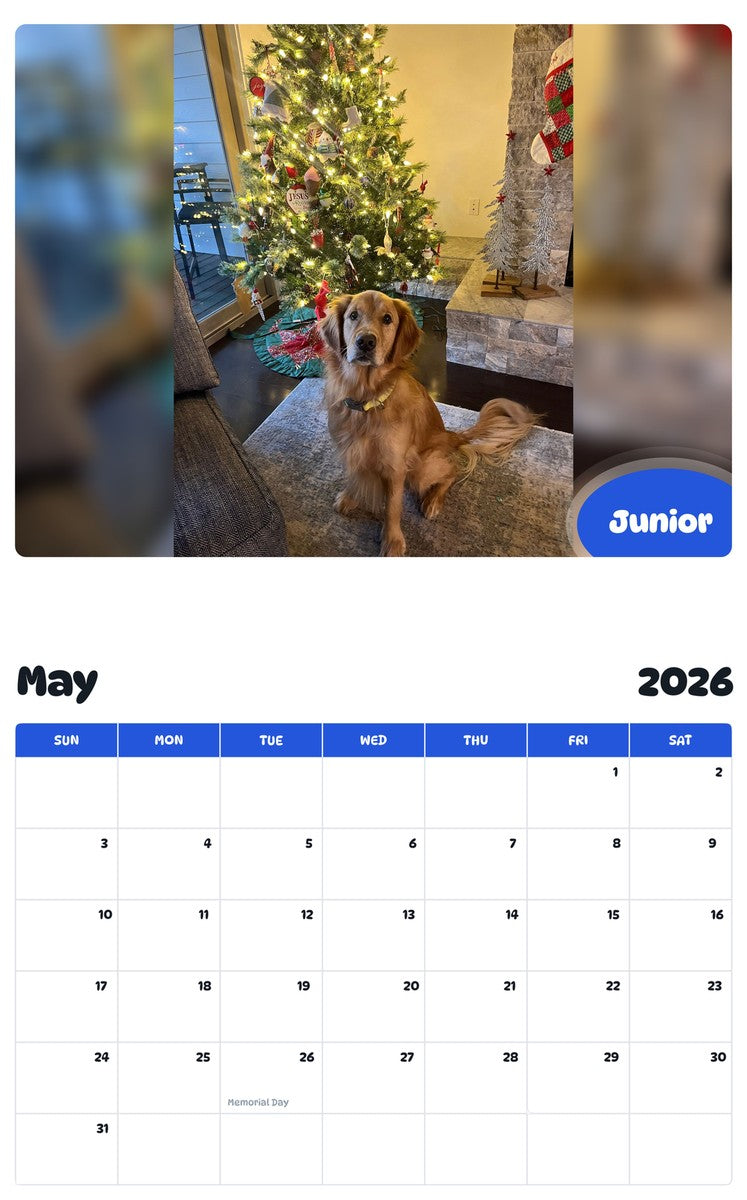 2026 - 2027 Junior - Pawidols Pet Calendar