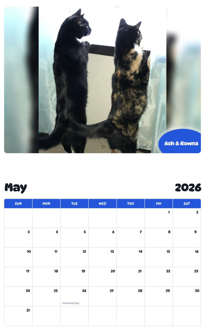 2026 - 2027 Ash & Rowna - Pawidols Pet Calendar