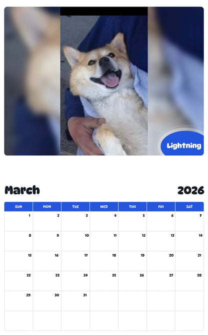 November 2025 - October 2026 Lightning - Pawidols Pet Calendar