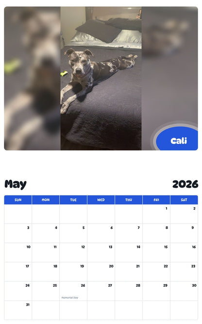 2026 - 2027 Cali - Pawidols Pet Calendar