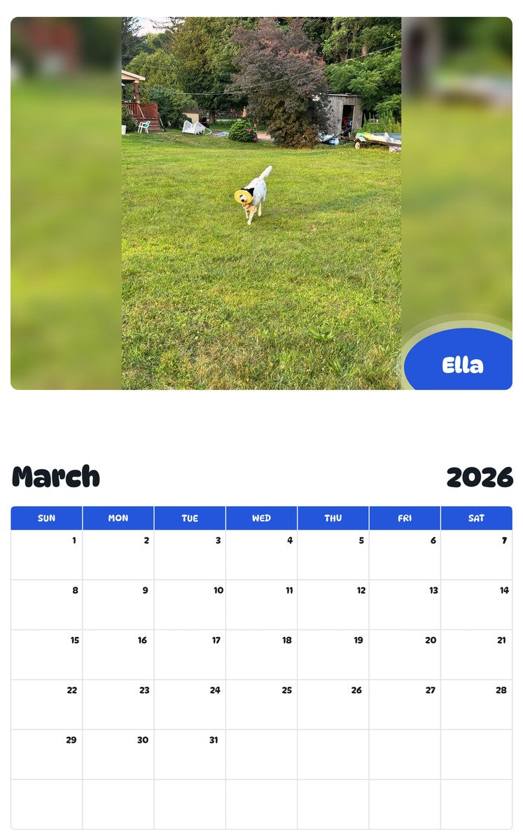 November 2025 - October 2026 Ella - Pawidols Pet Calendar